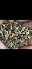 BLACKS COFFEE BEANS