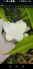 Coconut soap 80grams