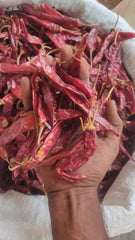 Andhra Chilli