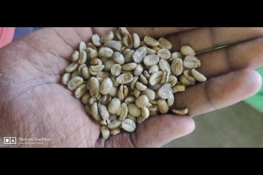 B AND C COFFEE BEANS