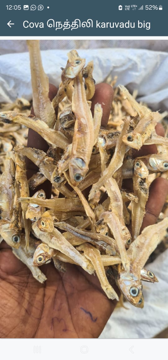 Cova karuvadu big