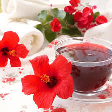 Hibiscus Tea